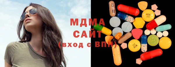 гашик Алексин